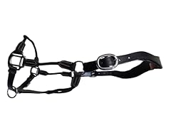 Cwell equine deluxe for sale  Delivered anywhere in UK
