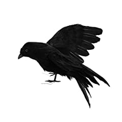Delaman corvi piumati usato  Spedito ovunque in Italia 
