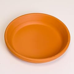 Ceramica argoncilhe piatto usato  Spedito ovunque in Italia 