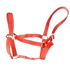 Extra strong equine for sale  Delivered anywhere in UK