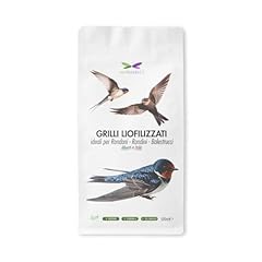 Nutrinsect grilli liofilizzati usato  Spedito ovunque in Italia 
