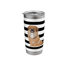 Tibetan spaniel dog for sale  Delivered anywhere in USA 