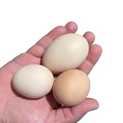 Fertile chicken hatching for sale  Delivered anywhere in USA 