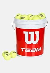 Wilson tennisbälle team gebraucht kaufen  Wird an jeden Ort in Deutschland