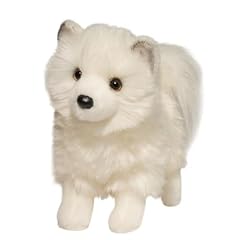 Douglas phoebe pomsky for sale  Delivered anywhere in USA 