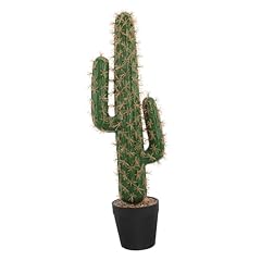 Bathveve cactus artificiale usato  Spedito ovunque in Italia 