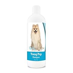 Healthy breeds pomeranian for sale  Delivered anywhere in USA 