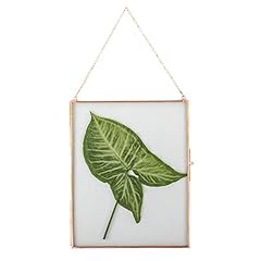 Ncyp wall hanging for sale  Delivered anywhere in USA 