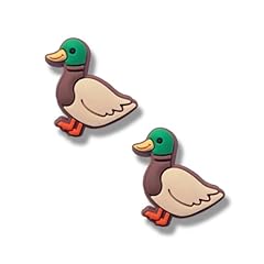 Tchariry mallard duck for sale  Delivered anywhere in USA 