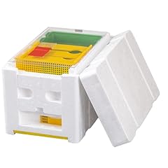 Zffxh beekeeping queen for sale  Delivered anywhere in USA 