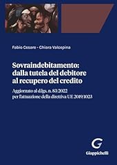 Sovraindebitamento. dalla tute usato  Spedito ovunque in Italia 