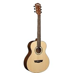 Washburn serie apprendista usato  Spedito ovunque in Italia 