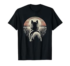 Vintage akita dog for sale  Delivered anywhere in USA 
