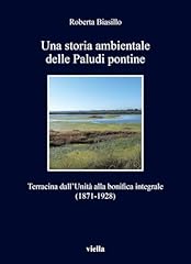 Una storia ambientale usato  Spedito ovunque in Italia 