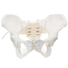 Esmen life size for sale  Delivered anywhere in USA 