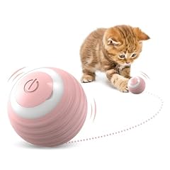 Crmanedy interactive cat for sale  Delivered anywhere in USA 