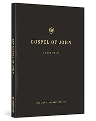 Gospel john the gebraucht kaufen  Wird an jeden Ort in Deutschland