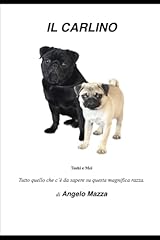 Carlino tutto quello usato  Spedito ovunque in Italia 