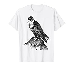 Peregrine falcon falconry for sale  Delivered anywhere in UK