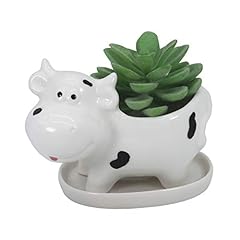 Gemseek cute cow for sale  Delivered anywhere in USA 