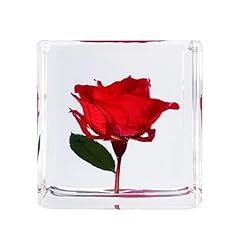 Bon cube real for sale  Delivered anywhere in USA 