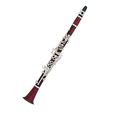 Clarinets professional clarine for sale  Delivered anywhere in UK