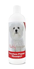 Healthy breeds bichon for sale  Delivered anywhere in USA 