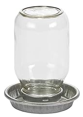 Glass jar chick for sale  Delivered anywhere in USA 