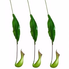 Evlasumflow artificial nepenth for sale  Delivered anywhere in USA 