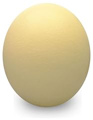 Ostrich eggshell grade for sale  Delivered anywhere in USA 