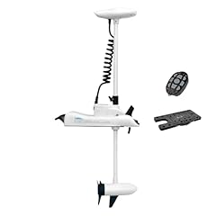 Mtlakemotor haswing electric for sale  Delivered anywhere in USA 