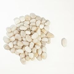 Lbs river rocks for sale  Delivered anywhere in USA 
