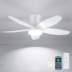 Deckenventilatoren beleuchtung gebraucht kaufen  Wird an jeden Ort in Deutschland