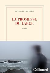 Promesse large d'occasion  Livré partout en Belgiqu