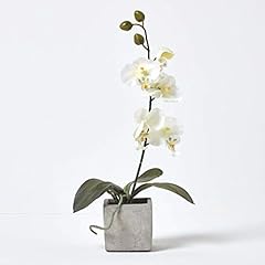 Homescapes white orchid for sale  Delivered anywhere in UK