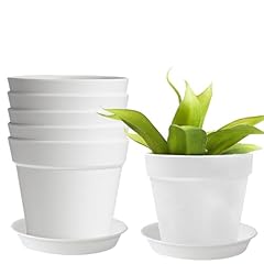 Blumentöpfe plastik blumentop gebraucht kaufen  Wird an jeden Ort in Deutschland