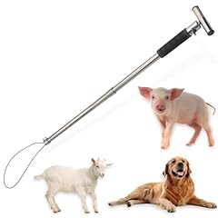 Dog catcher pole for sale  Delivered anywhere in USA 