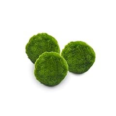 Marimo set sfuso usato  Spedito ovunque in Italia 