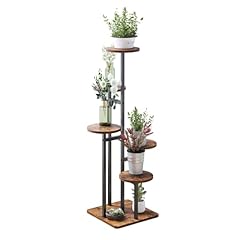 Vondream tier plant for sale  Delivered anywhere in USA 