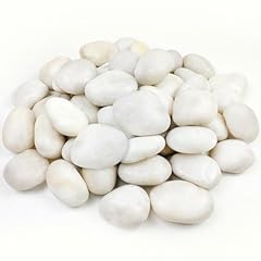Yiszm 20lbs large for sale  Delivered anywhere in USA 