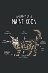 Anatomy maine coon for sale  Delivered anywhere in Ireland