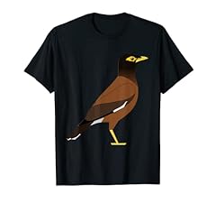 Common myna mynah for sale  Delivered anywhere in USA 