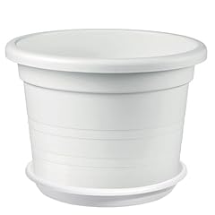 Sicignano vaso cilindro usato  Spedito ovunque in Italia 