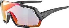 Alpina mirrored polarized for sale  Delivered anywhere in USA 