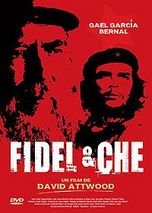 Fidel che usato  Spedito ovunque in Italia 