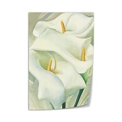Igdxkop georgia keeffe for sale  Delivered anywhere in USA 