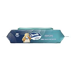 Charmin Flushable Wipes, 40 Flushable Wipes Per Pack, used for sale  Delivered anywhere in USA 