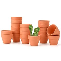 T4u 5cm terracotta for sale  Delivered anywhere in Ireland