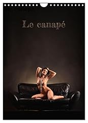 Canapé d'occasion  Livré partout en France