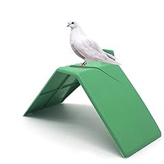 Pigeon perches 10pcs for sale  Delivered anywhere in UK
